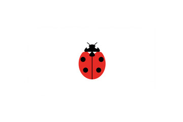 cute ladybug illustration isolated on white background