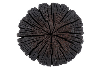 Charcoal cross section of wood log isolated on transparent background