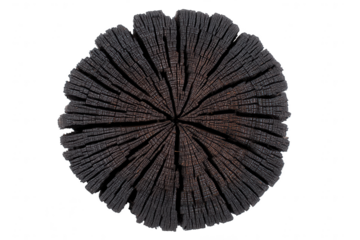 Charcoal cross section of wood log isolated on transparent background