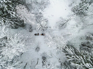 An aerial view captures snowmobiles traversing a snow covered path amidst a dense winter forest...