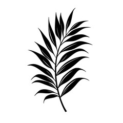 black silhouette of a branch of a tropical plant on a white background black, branch, illustration, leaf, palm tree, plant, silhouette, tropical , Generative art.