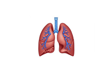 High-quality scalable lung anatomy design perfect for medical publications, educational materials, or healthcare branding projects.