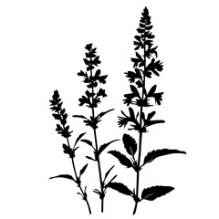 Naklejka premium a black and white illustration of a plant black, flower, illustration, plant, silhouette , Generative art.