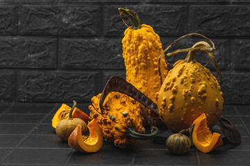 Organic ornamental pumpkins with textured skin and cut slices on dark background. Natural concept