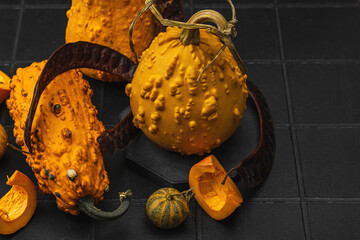Organic ornamental pumpkins with textured skin and cut slices on dark background. Natural concept