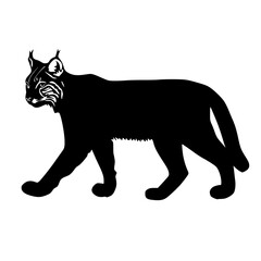 a black silhouette of a cat on a white background black, cat, illustration, silhouette , Generative art.