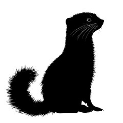 a black and white silhouette of a cat with a fluffy tail black, cat, illustration, silhouette, sit, squirrel, tail , Generative art.