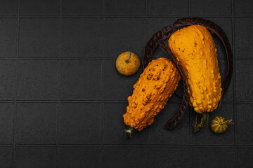 Organic ornamental pumpkins with textured skin and cut slices on dark background. Natural concept