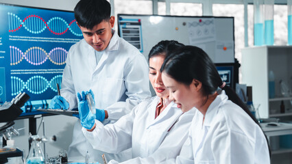 Three young scientists closely examine a petri dish with bacterial cultures in a modern laboratory. Their serious expressions reflect deep analysis, teamwork, and hands-on learning in microbiology.