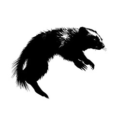 black silhouette of a ferret on a white background animal, black, illustration, silhouette , Generative art.