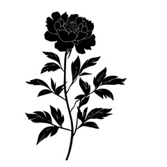 black silhouette of a branch with flowers on a white background black, branch, flower, peony, silhouette , Generative art.
