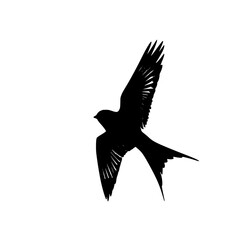 a black silhouette of a bird in flight bird, black, flight, fly, silhouette, wing , Generative art.