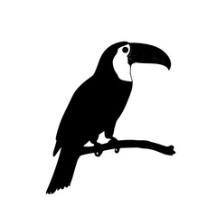 a black silhouette of a bird with a beak sitting on a branch beak, bird, black, branch, parrot, silhouette, sit on, tree branch , Generative art.
