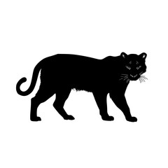 Obraz premium a black silhouette of a cat on a white background black, cat, silhouette, stand , Generative art.