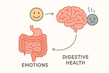 Fototapeta premium Gut-brain axis vector illustration showing connection. Concept of how emotions, mood, stress, and mental health influence digestive system. Psychology diagram with brain and intestines.