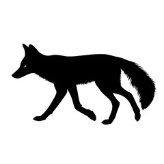 a black and white silhouette of a wild wolf walking black, fox, silhouette, stand, walk, wild, wolf