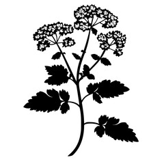 a black and white silhouette of a plant with white flowers in a simple style black, design, flower, icon, picture, plant, silhouette, single, style, white 