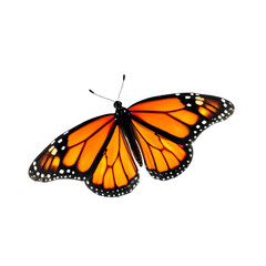 Fototapeta premium Beautiful orange butterfly isolated on transparent background