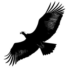 the black silhouette of an eagle flying in the air bird, black, eagle, flight, fly, silhouette, wing , Generative art.