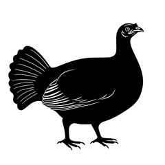 the black silhouette of a turkey on a white background illustration bird, black, icon, illustration, silhouette, stand, turkey 