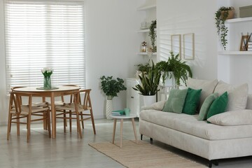 Comfortable sofa, table, chairs and green houseplants indoors. Interior design