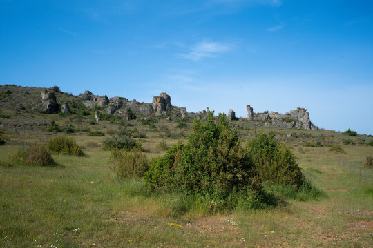 Plateau du Larzac, causse du Larzac, parc naturel r&eacute;gional des Grands Causses, 12, Aveyron, France