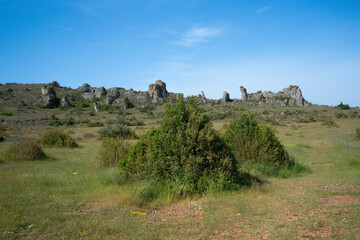 Plateau du Larzac, causse du Larzac, parc naturel régional des Grands Causses, 12, Aveyron, France