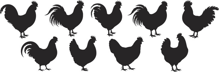 Chicken and rooster silhouette vector set, farm animal clipart, poultry illustrations, domestic bird design