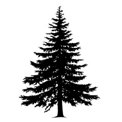 a black and white silhouette of a pine tree black, christmas tree, fir tree, pine tree, silhouette, tree 