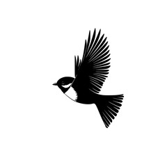 a black and white silhouette of a small bird in flight bird, black, flight, fly, silhouette, small, wing