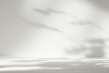 Abstract white color gradient studio background for product presentation. Empty room with shadows of window and flowers and plant leaves . 3d grey room with copy space. Blurred backdrop.