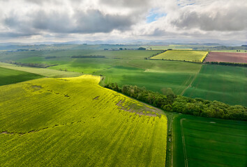 Fototapeta premium agricultural fields with blooming rape seed at the sottish border near Oxnam, Scotland, UK