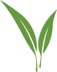Elegant green leaves graphic on white. Symbolizes growth, nature, and health. Ideal for wellness, ecology, or organic product designs. Fresh and minimalist.