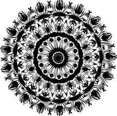Mandala Symmetry