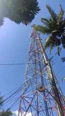Telecommunication Tower with Clear Blue Sky and Palm Trees