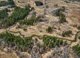 Higland landscape with partly dead fir forest on the Isle of Skye, inner Hebrides, Scotland, UK