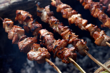 Barbecue cooking. Grilled beef skewers. Kontum. Vietnam.