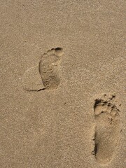 footprints in the sand. seashore. beach.