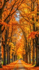 autumn alley with tall trees having lush vibrant orange yellow foliage under bright sunlight in the distance