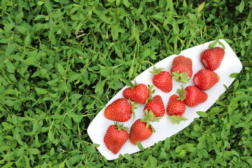 strawberries from my garden, organically grown and very sweet