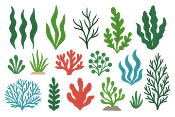 Collection of seaweed and coral cartoon vector icons isolated on white background, aquatic plants from the ocean © Alan