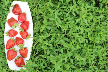strawberries from my garden, organically grown and very sweet