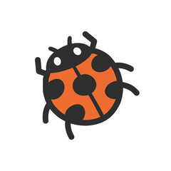 Lady Beetle