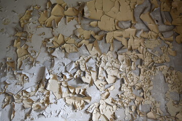 großflächig grob in großen Stücken abblätternde Farbe von der Wand