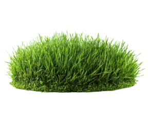 Lush green grass patch for garden landscaping and interior design on a transparent background, cut out