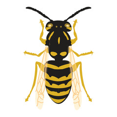 vector illustration of a bee
