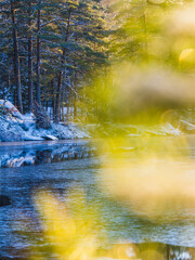 Winter landscape in Sweden with frozen lake reflecting the snowy trees along the shore