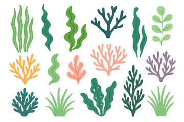 Various cartoon seaweeds and corals vector art illustration isolated on White Background