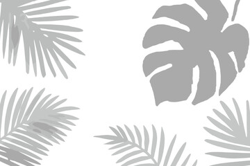 Tropical leaves pattern vector art, palm leaves and monstera leaf isolated on a white background