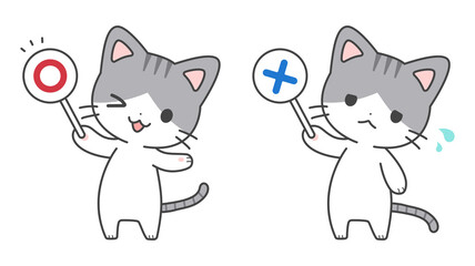 〇×クイズ猫セット